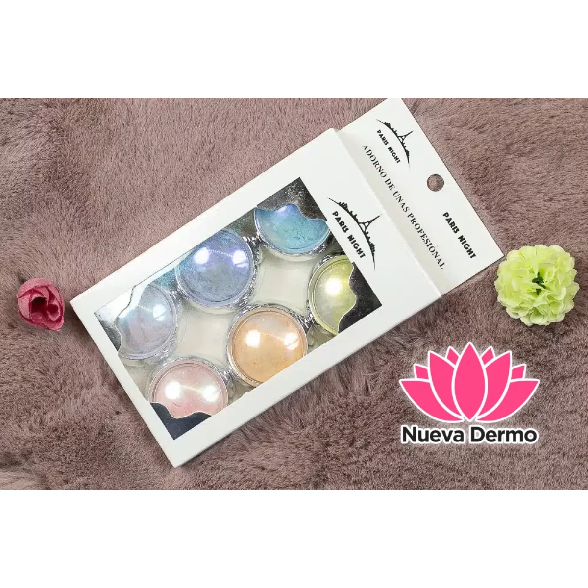 22300- POLVO AURORA SET*6