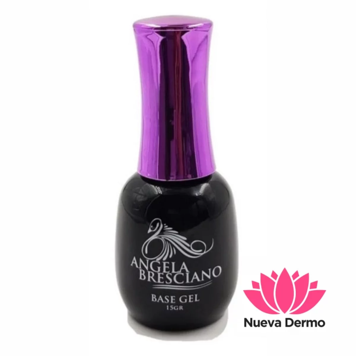 BASE CORRECTIVA ANGELA BRESCIANO