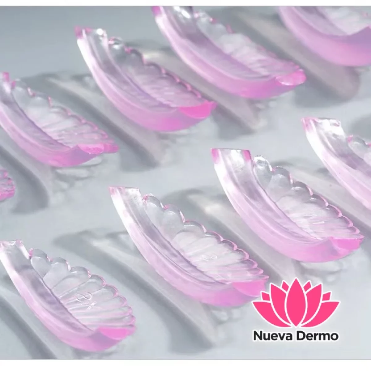 Bigudíes Anatómicos Rosa/Celeste X5 Pares