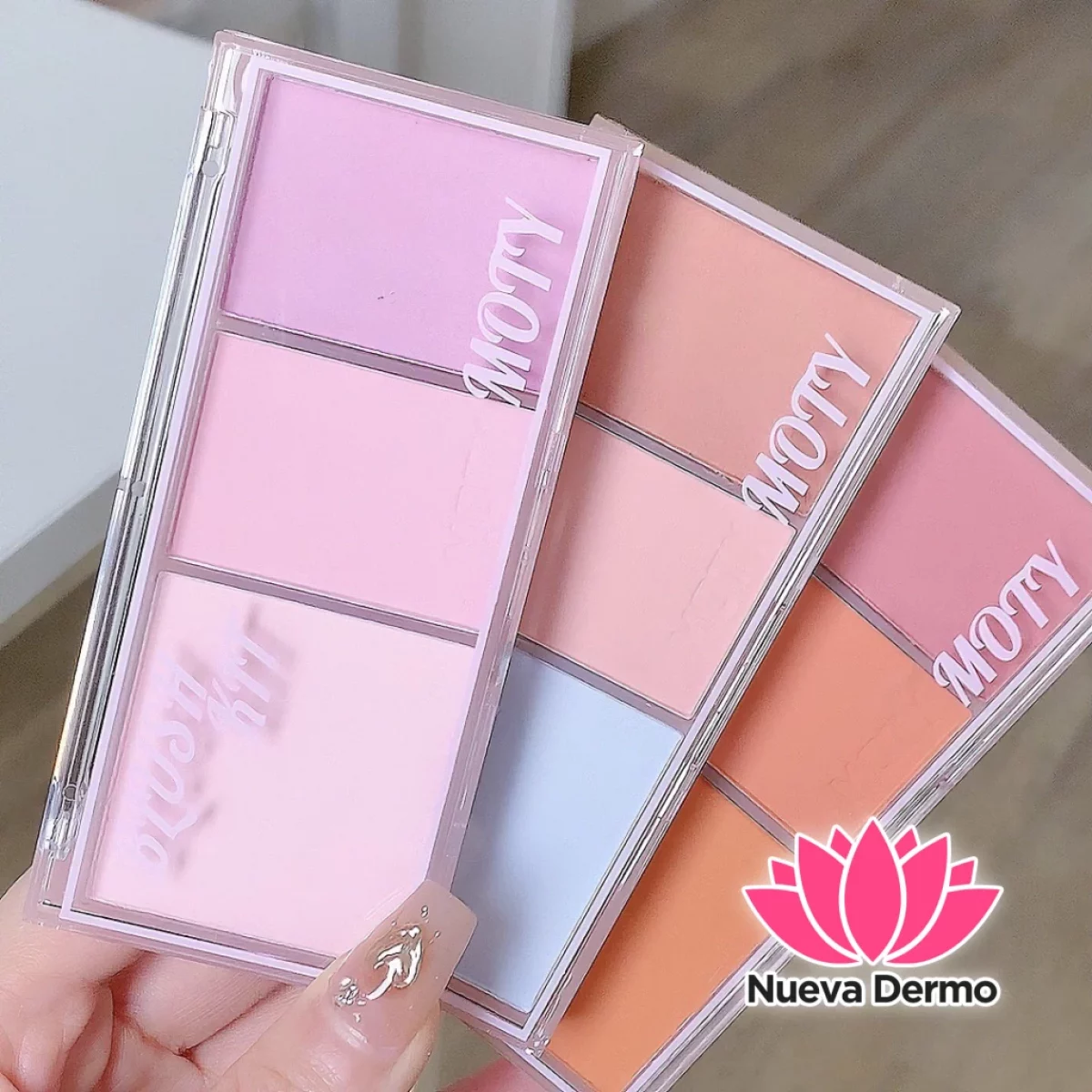 BLUSH POWDER PALETA MOTY