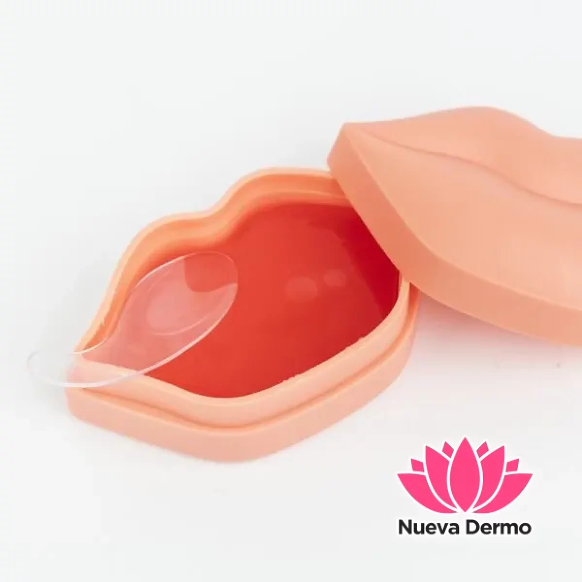 BOLD RED MASCARILLA LABIAL CAMELIA 22PCS