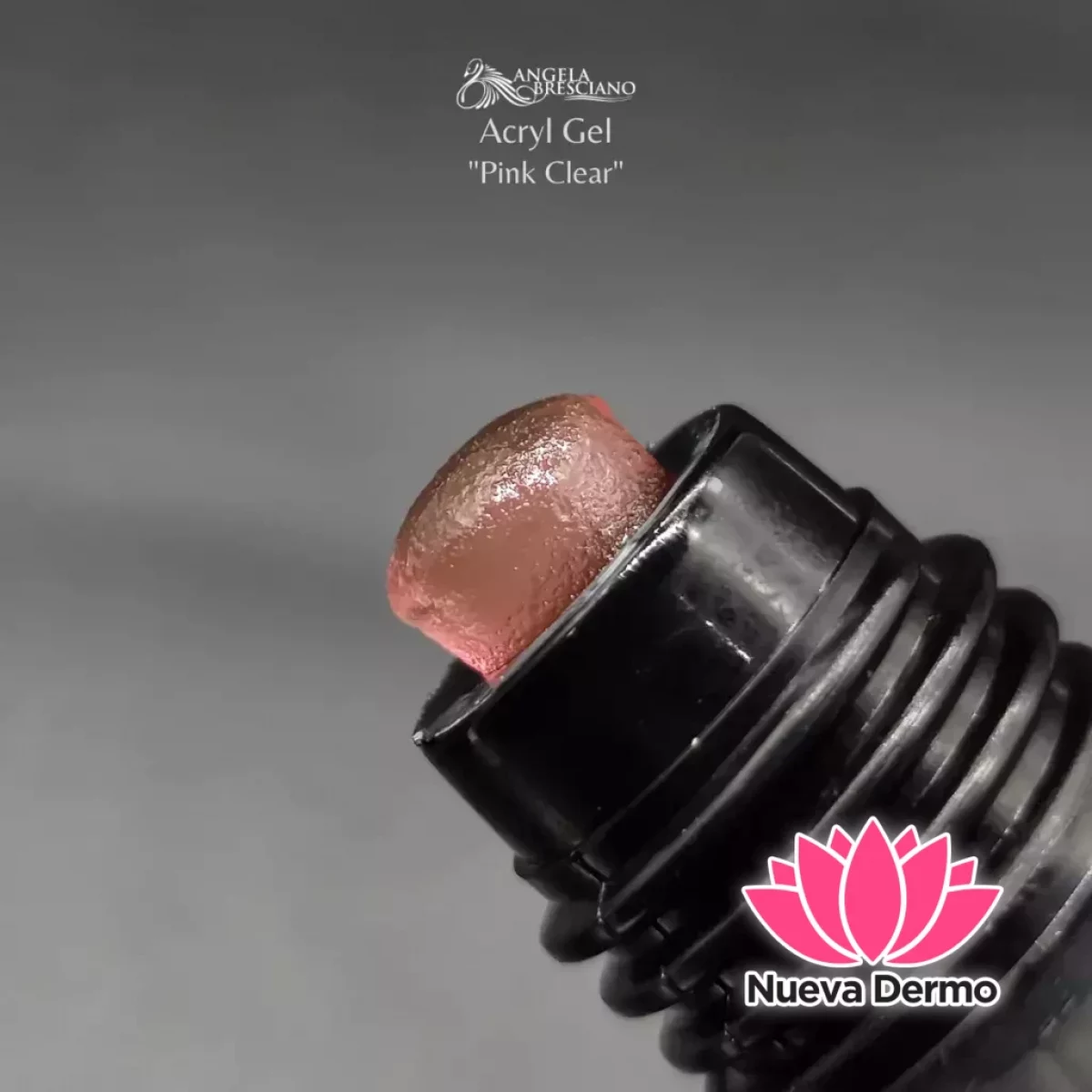 BRESCIANO 5003 ACRYL GEL PINK CLEAR 60 ML