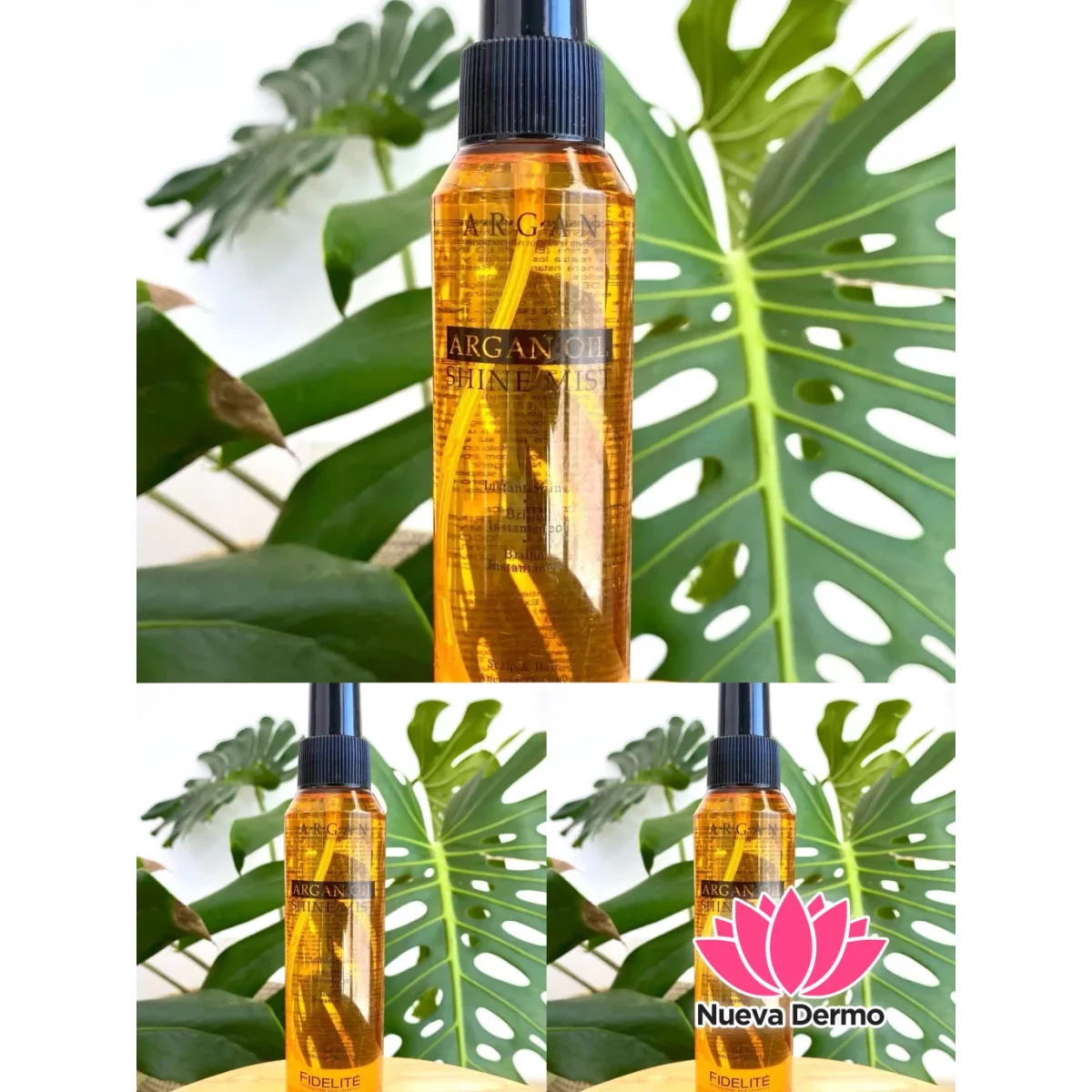 BRILLO INTANTANEO ARGAN OIL SHINE MIST FIDELITE