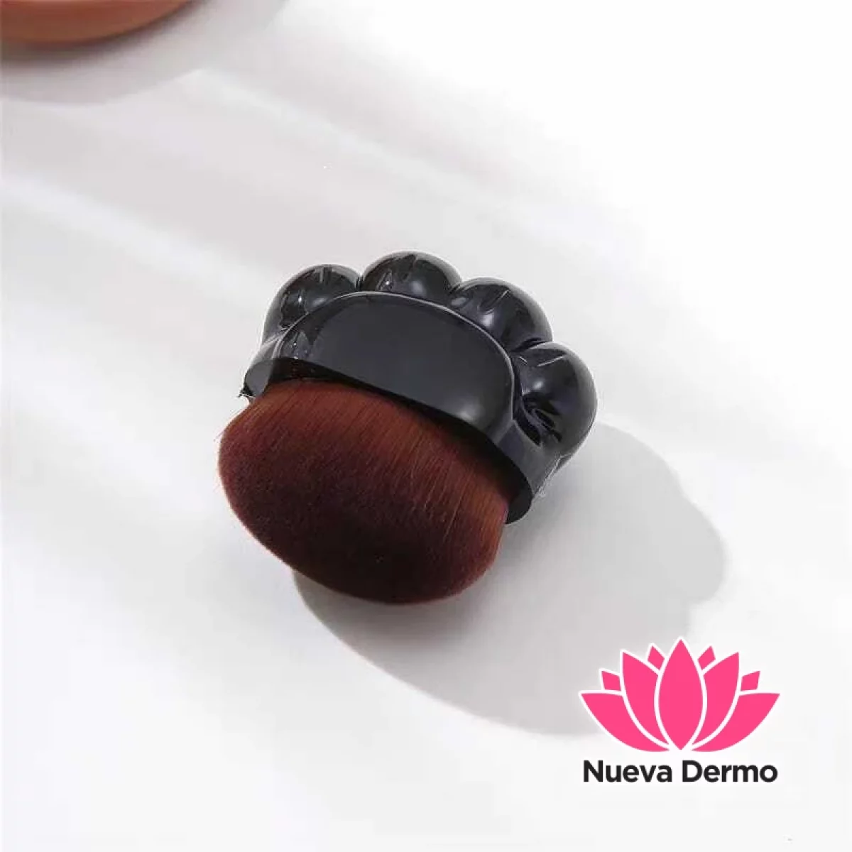 Brocha base PATITA DE OSO en cajita (240139)