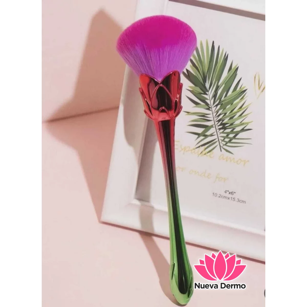 Brocha ROSA degrade (240146)