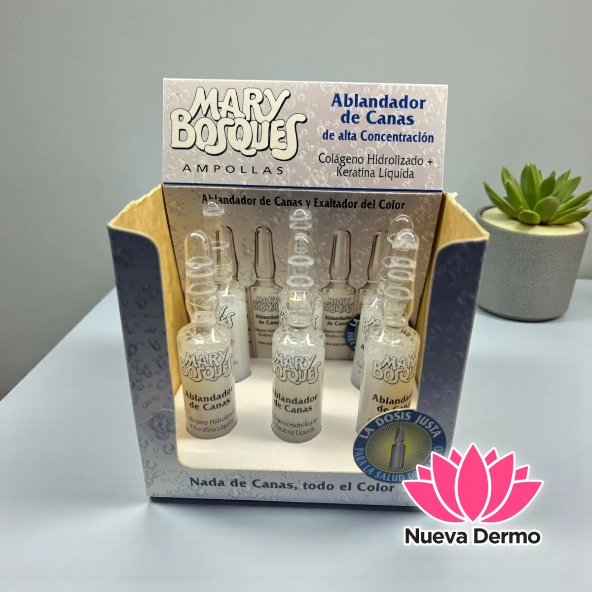 CAJA*6 AMPOLLA ABLANDADOR DE CANAS MARY BOSQUES 21772