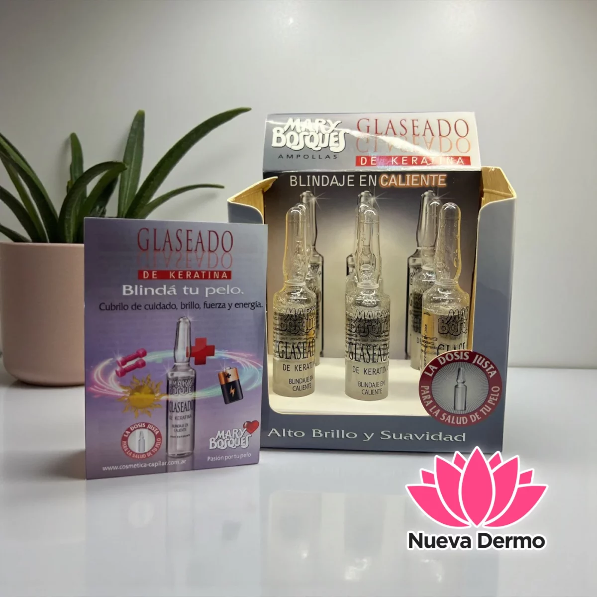 CAJA*6 GLASEADO DE KERATINA AMPOLLA 24124