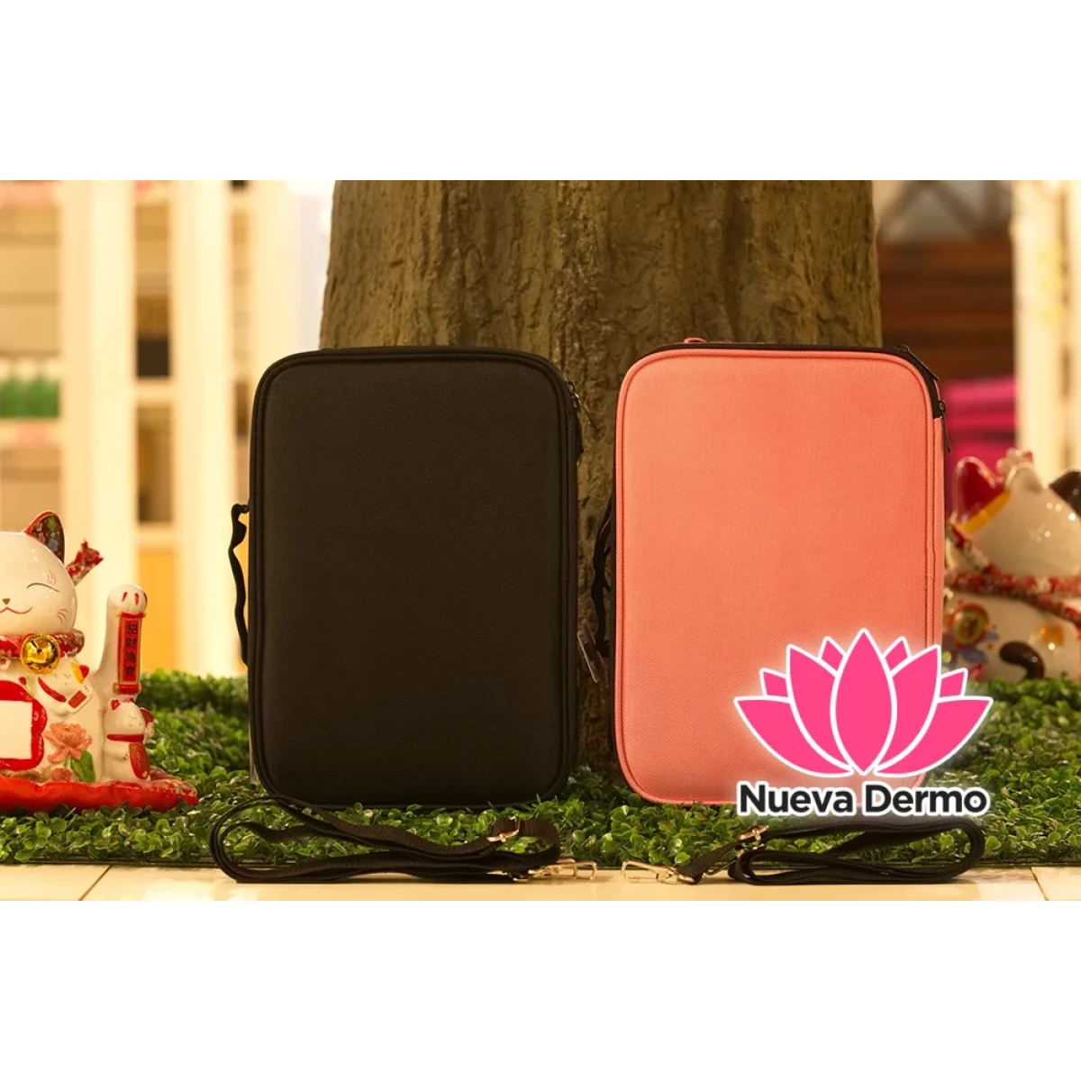 CARTERA EVA CHICO #8008 78008