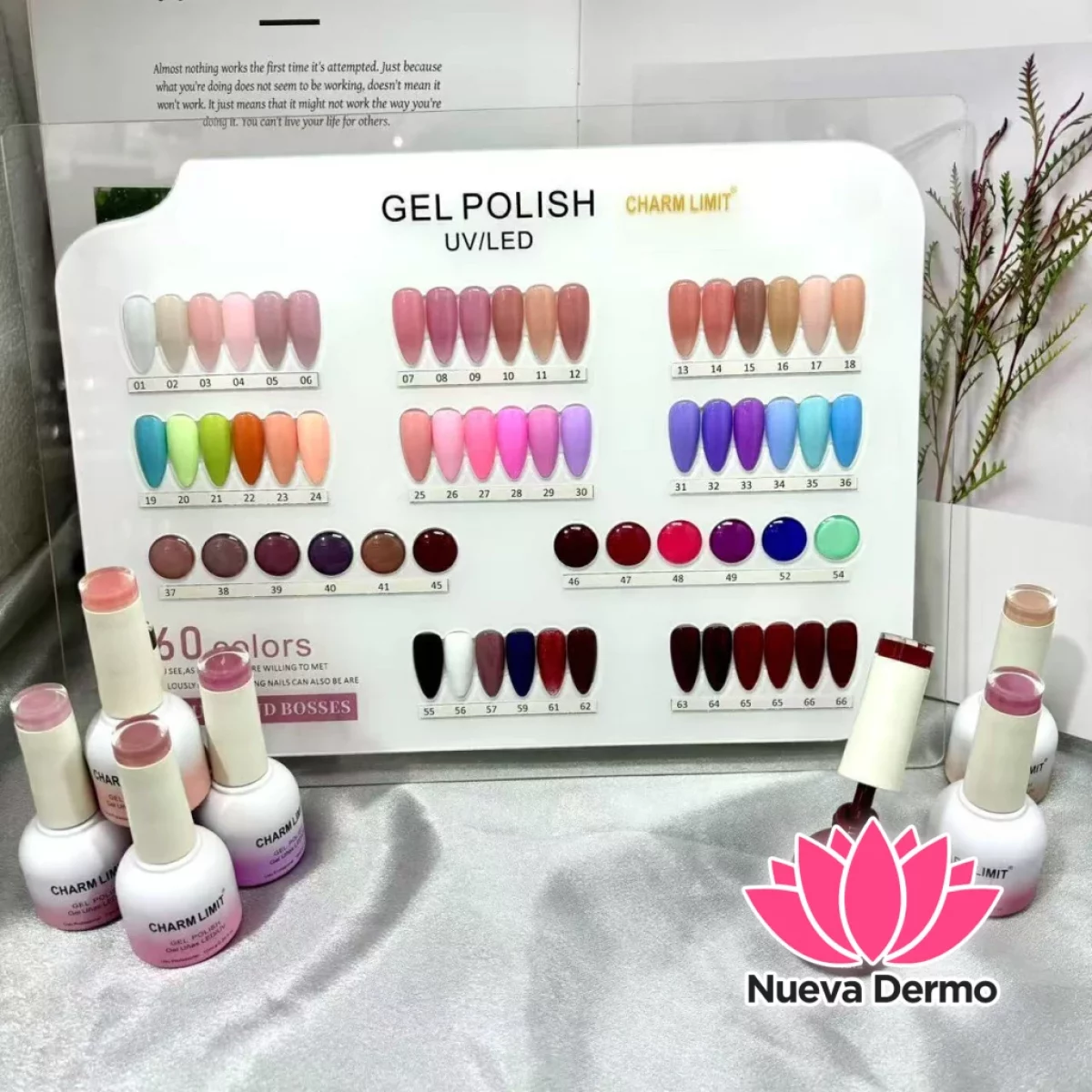 CHARM LIMIT 10ML APROBADO 00682 4