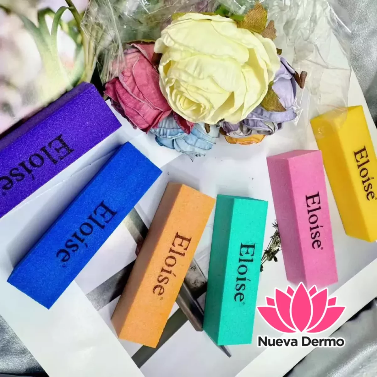 Eloise lima bloque de color surtidos