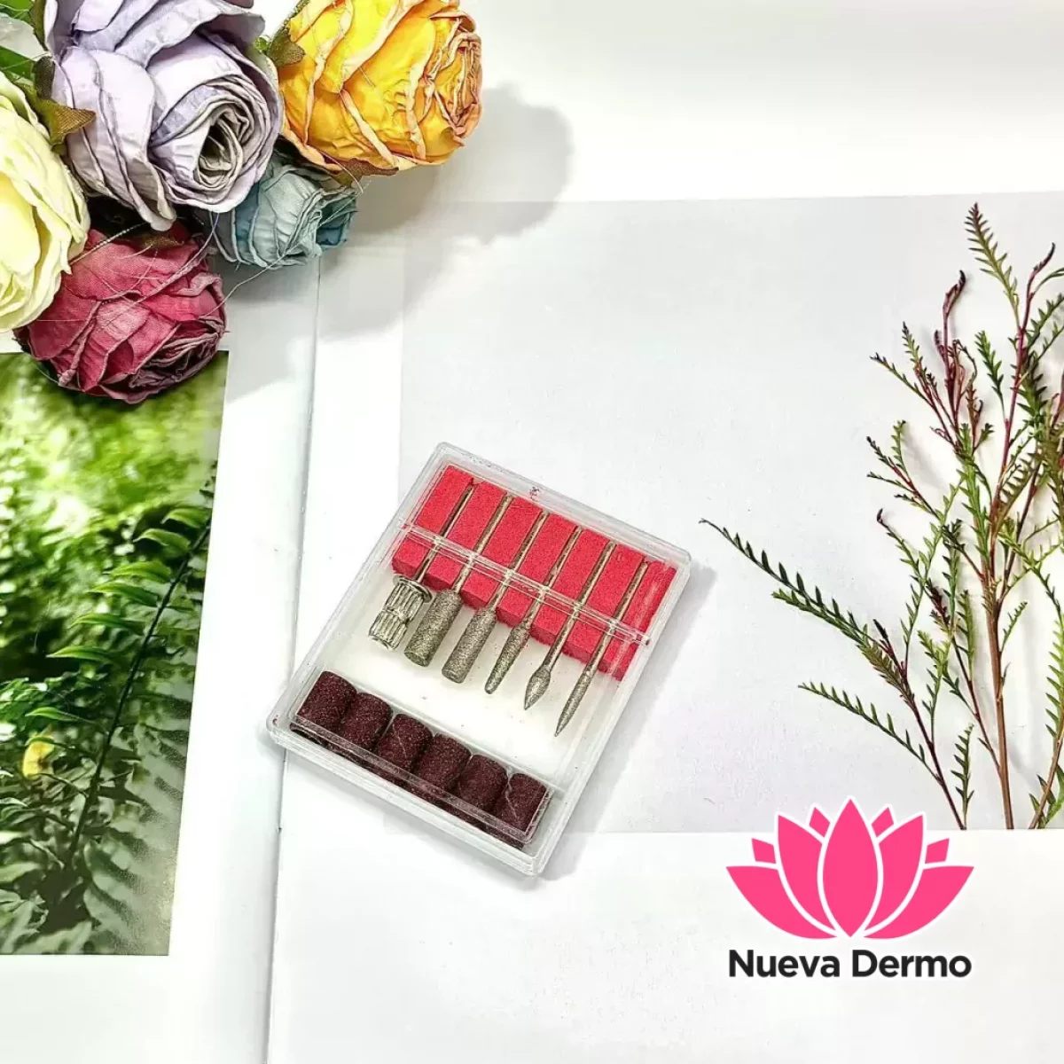 Fresa en caja 6pc DMTPT