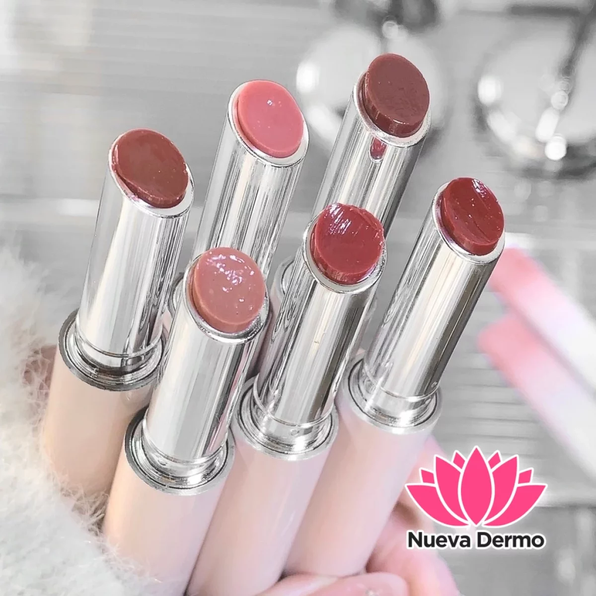 GEGE bear labial gx1120 6942344602202 6942344602233 6942344602219 6942344602196 - (copia)