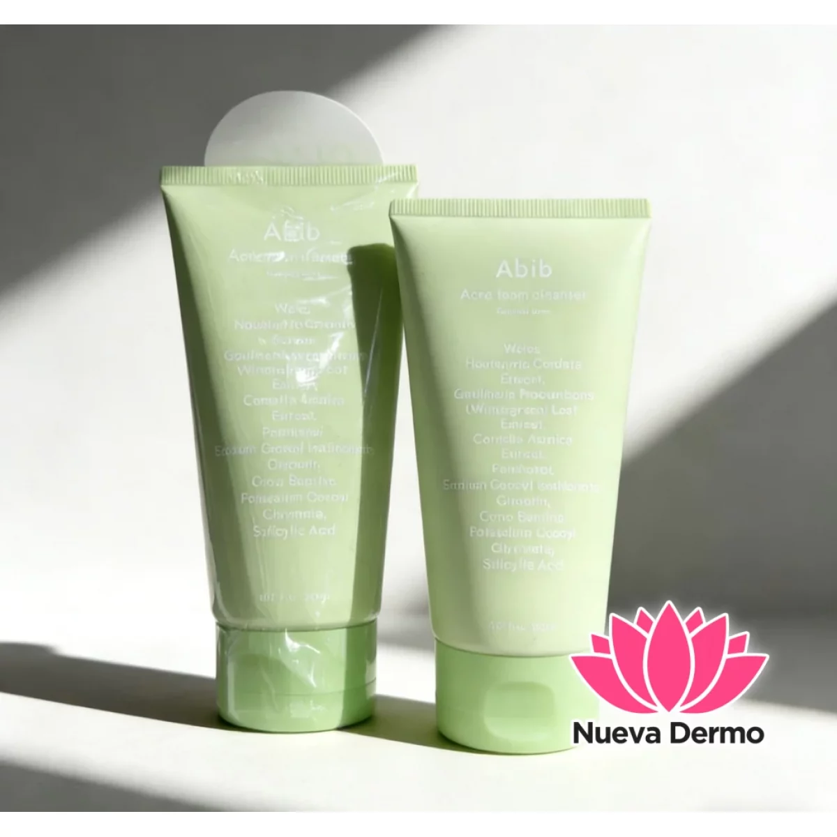 GEL LIMPIADOR DE ABIB