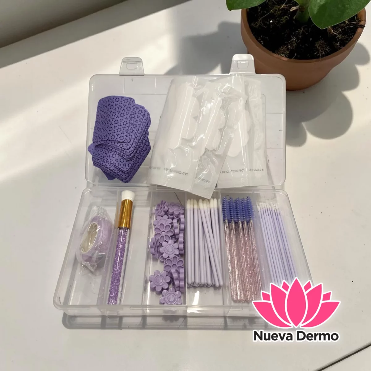 Kit de Insumos de Pestañas 20242