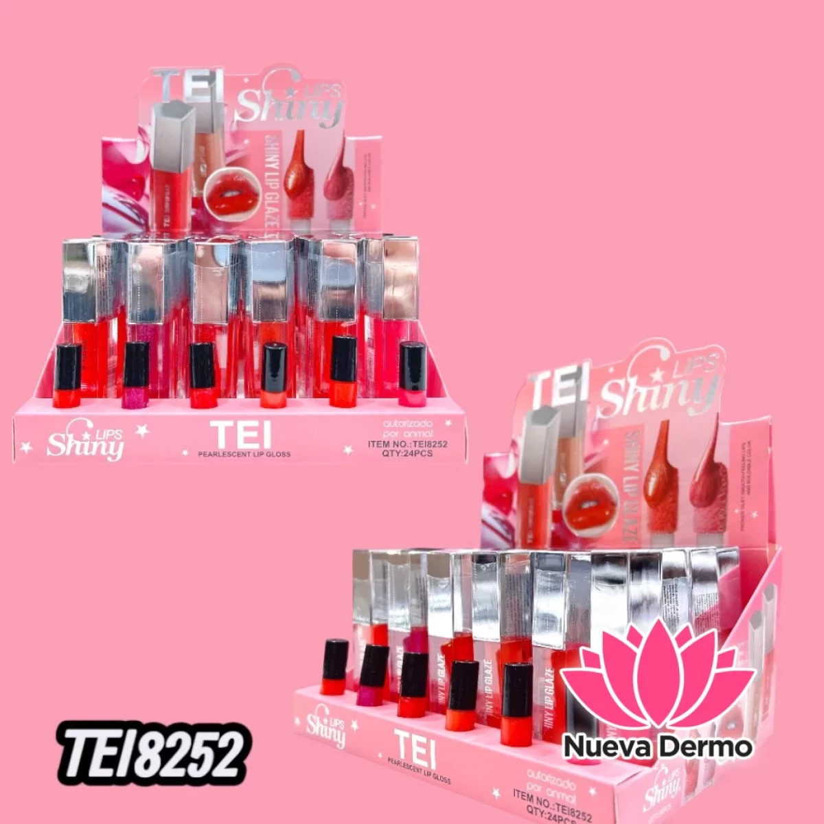 LABIAL LIP GLOSS MATTE SHINY CD: TEI8252