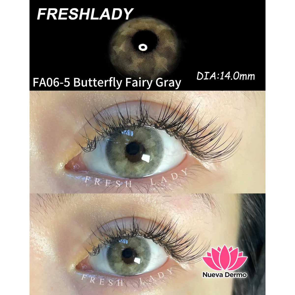 Lentes de contacto Freshlady Butterfly Fairy Gray FA06-5