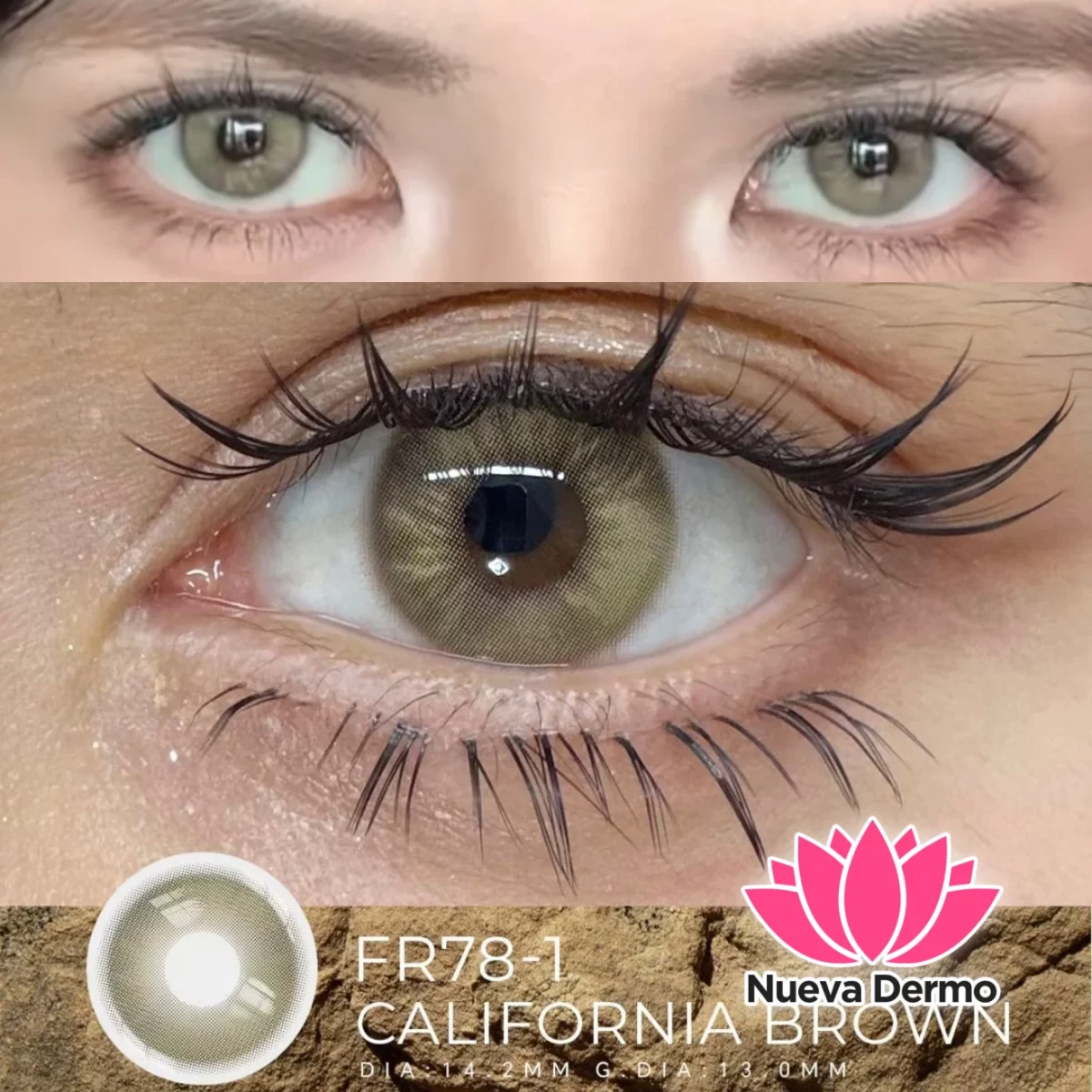 Lentes de contacto Freshlady California Brown FR78-1