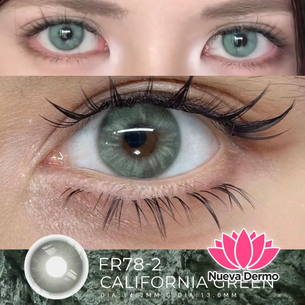 Lentes de contacto Freshlady California Green FR78-2