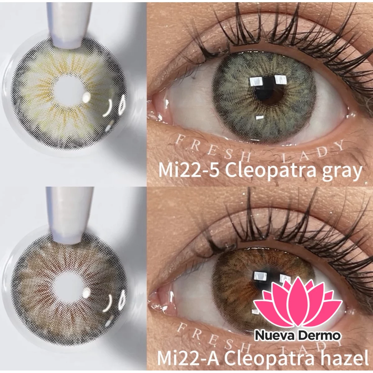 Lentes de contacto Freshlady Cleopatra Gray Mi22-5