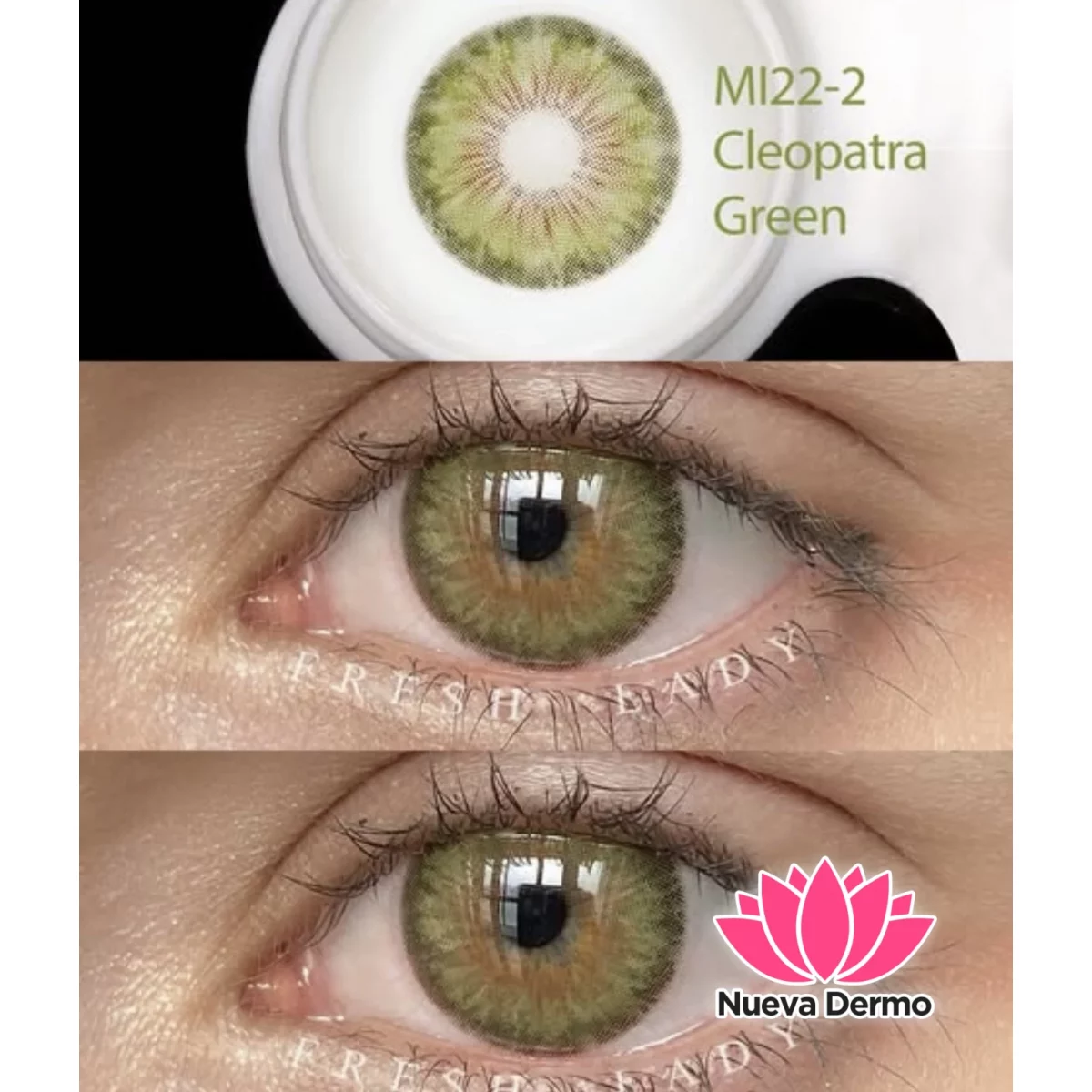 Lentes de contacto Freshlady Cleopatra Green Mi22-2
