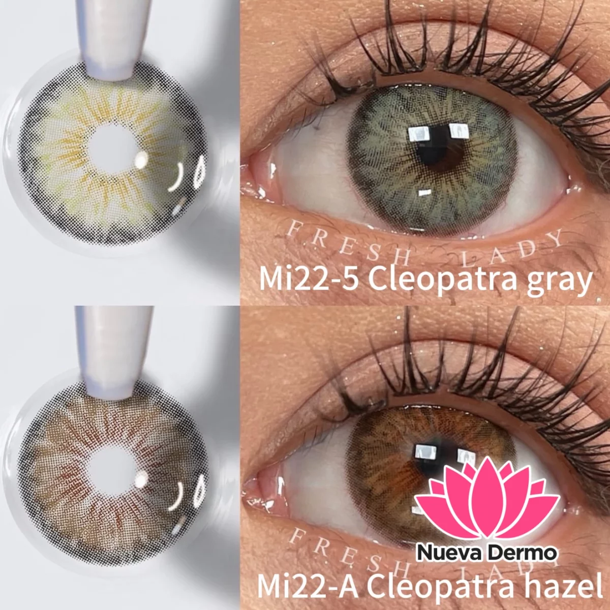 Lentes de contacto Freshlady Cleopatra Hazel Mi22-A