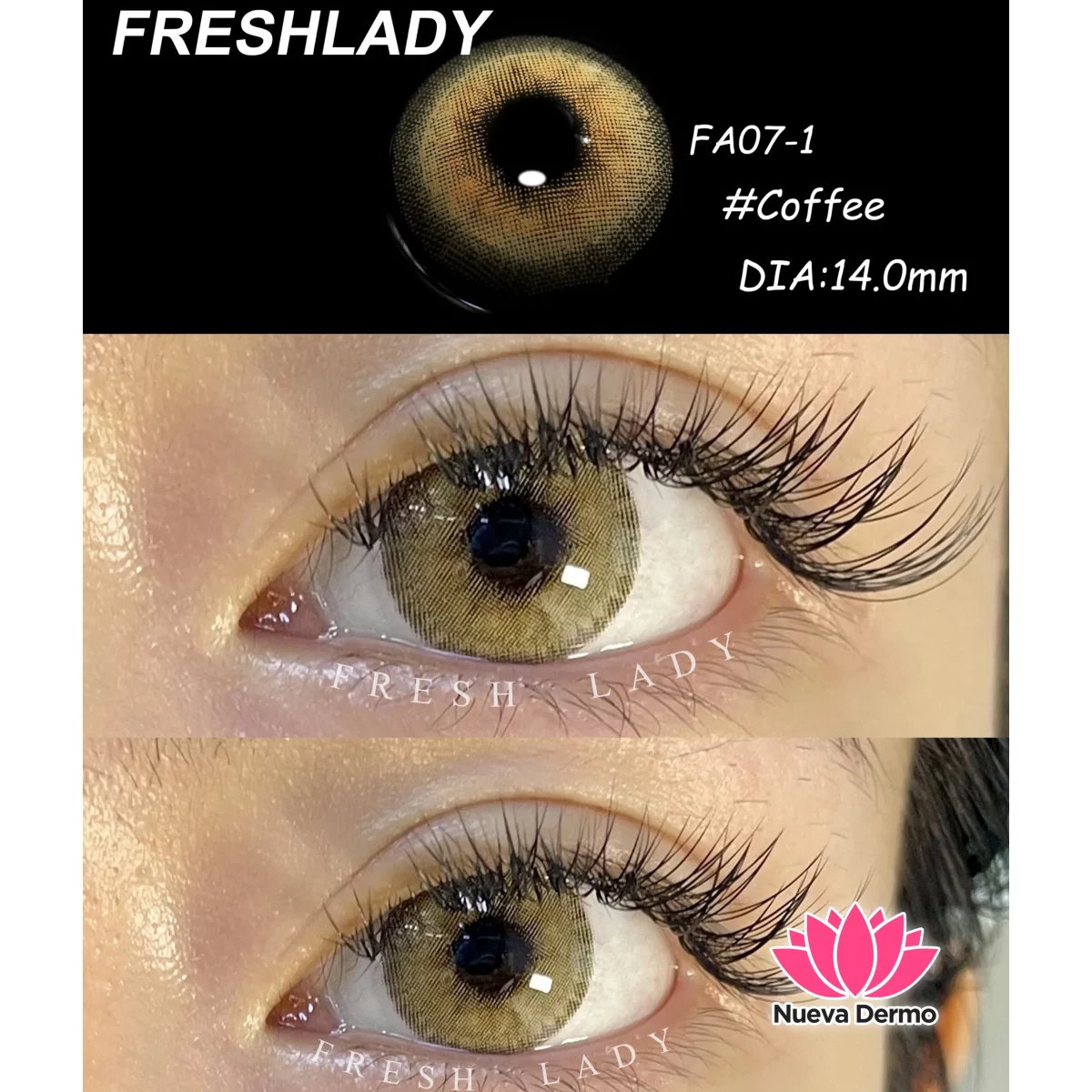 Lentes de contacto Freshlady Coffee FA07-1