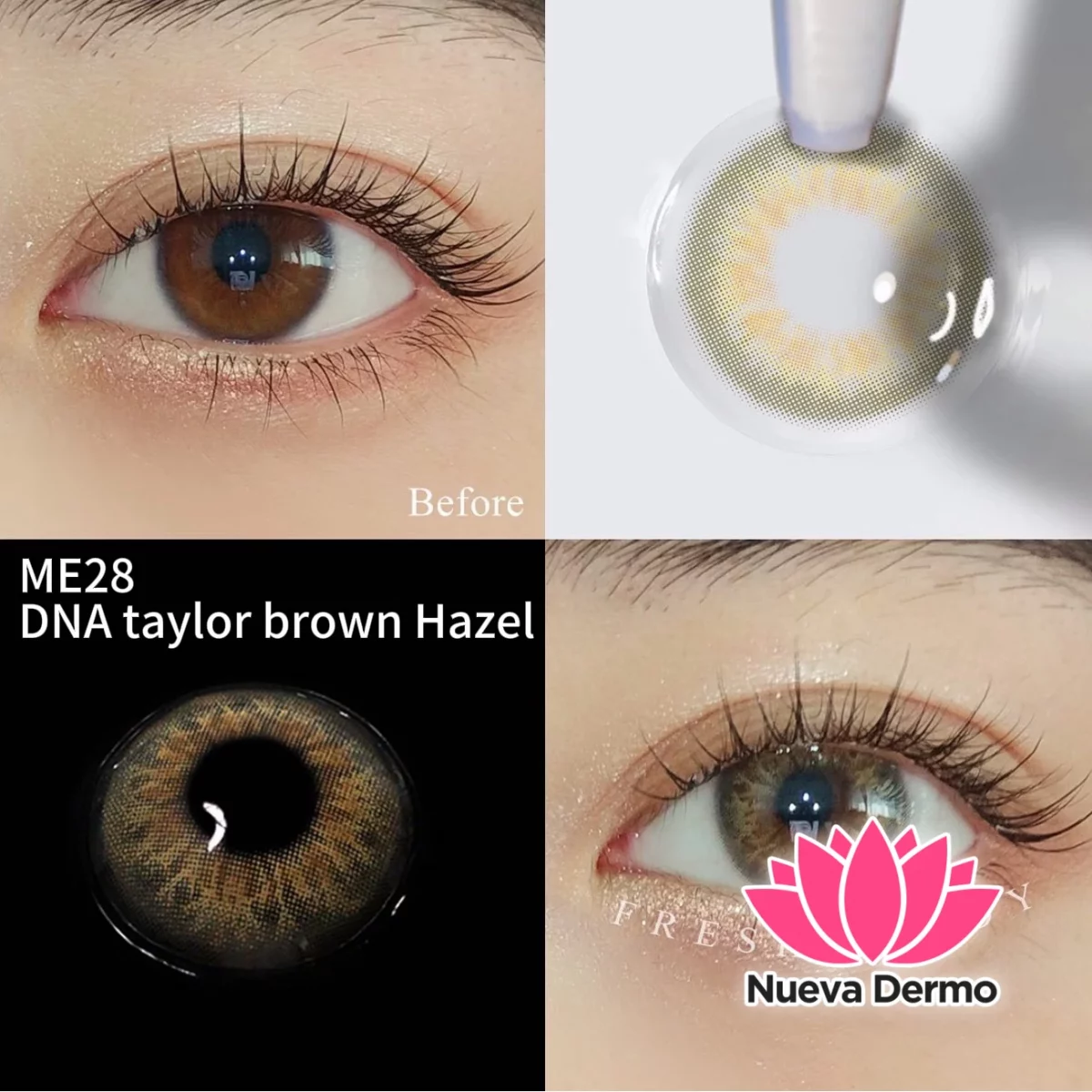 Lentes de contacto Freshlady DNA taylor brown Hazel ME28