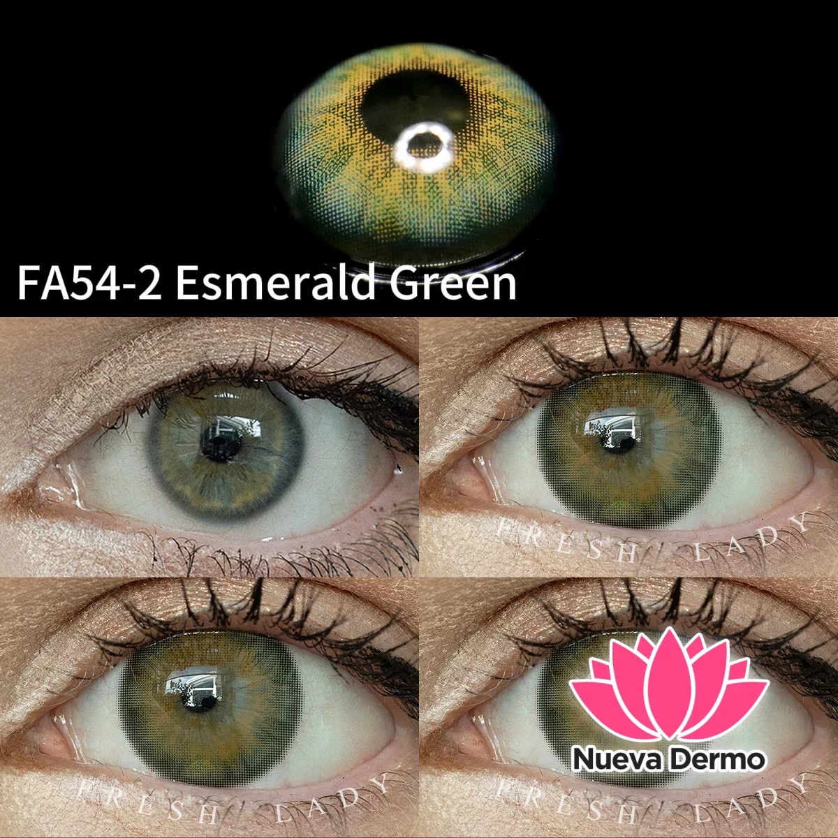 Lentes de contacto Freshlady Esmerald Green FA54-2