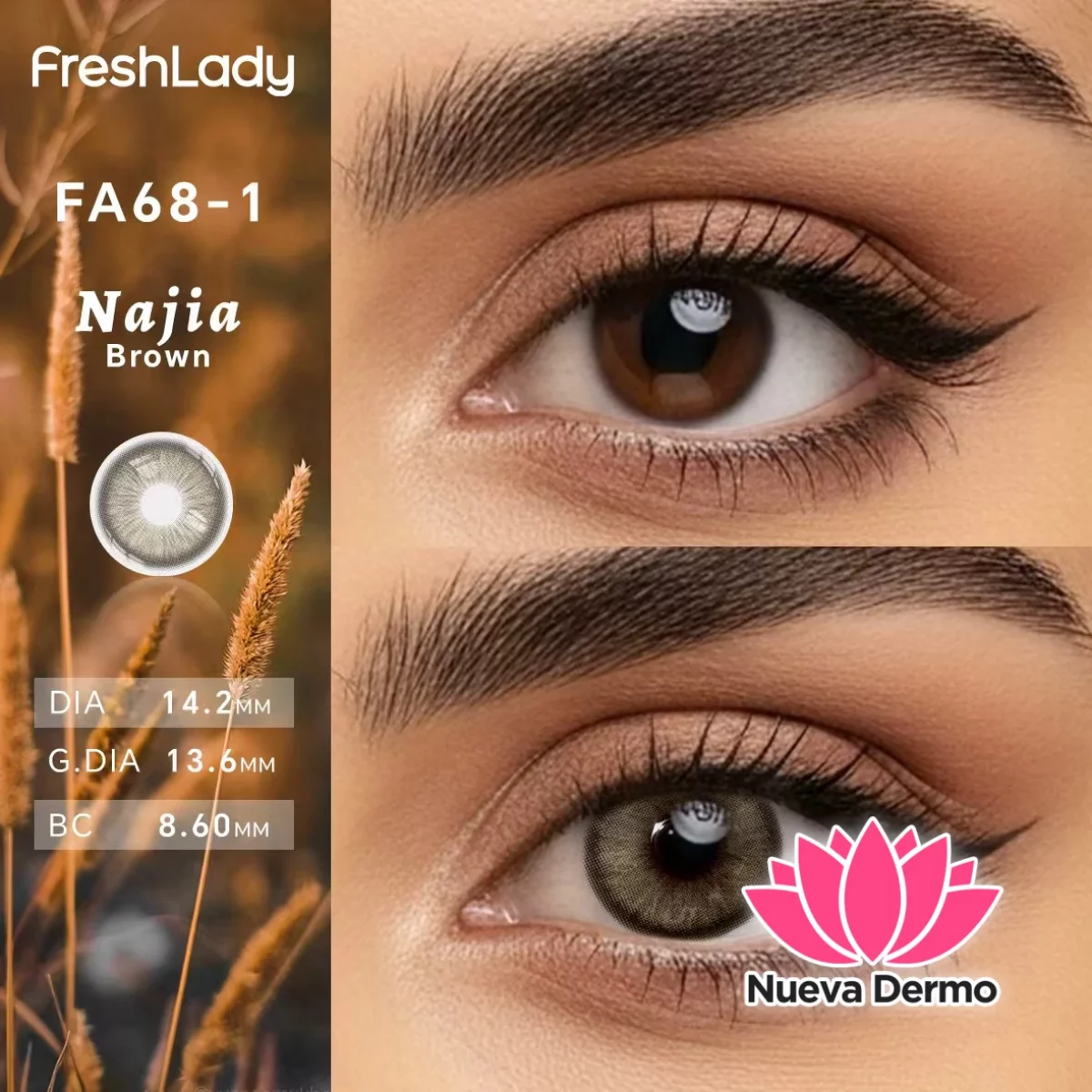 Lentes de contacto Freshlady FA68-1 Najia Brown