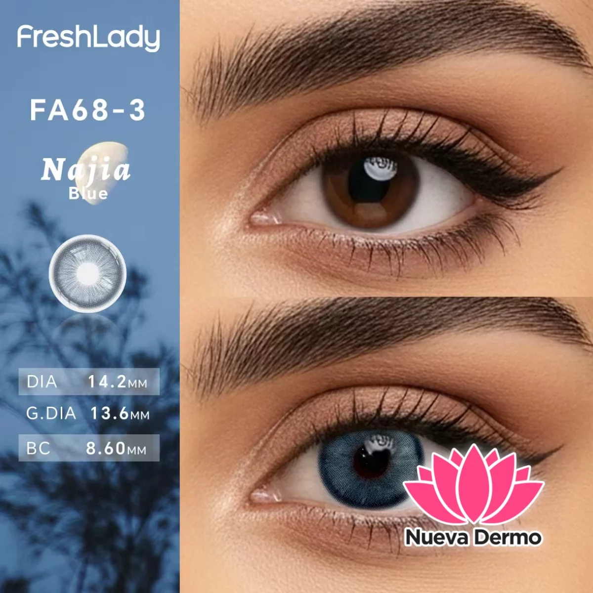 Lentes de contacto Freshlady FA68-3 Najia Blue