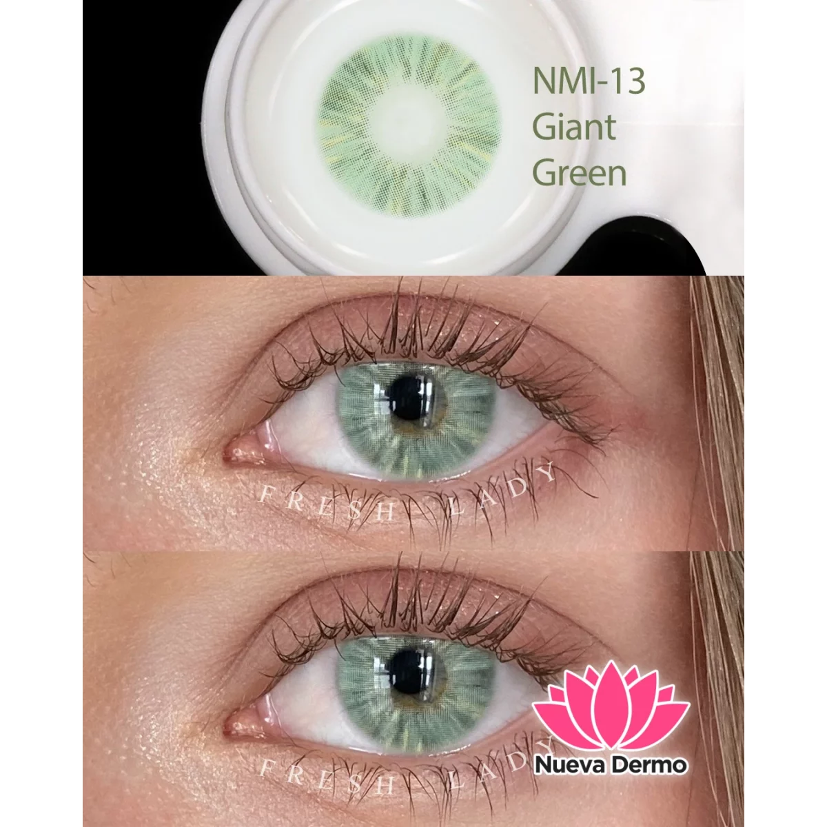 Lentes de contacto Freshlady Giant Green Nmi-13