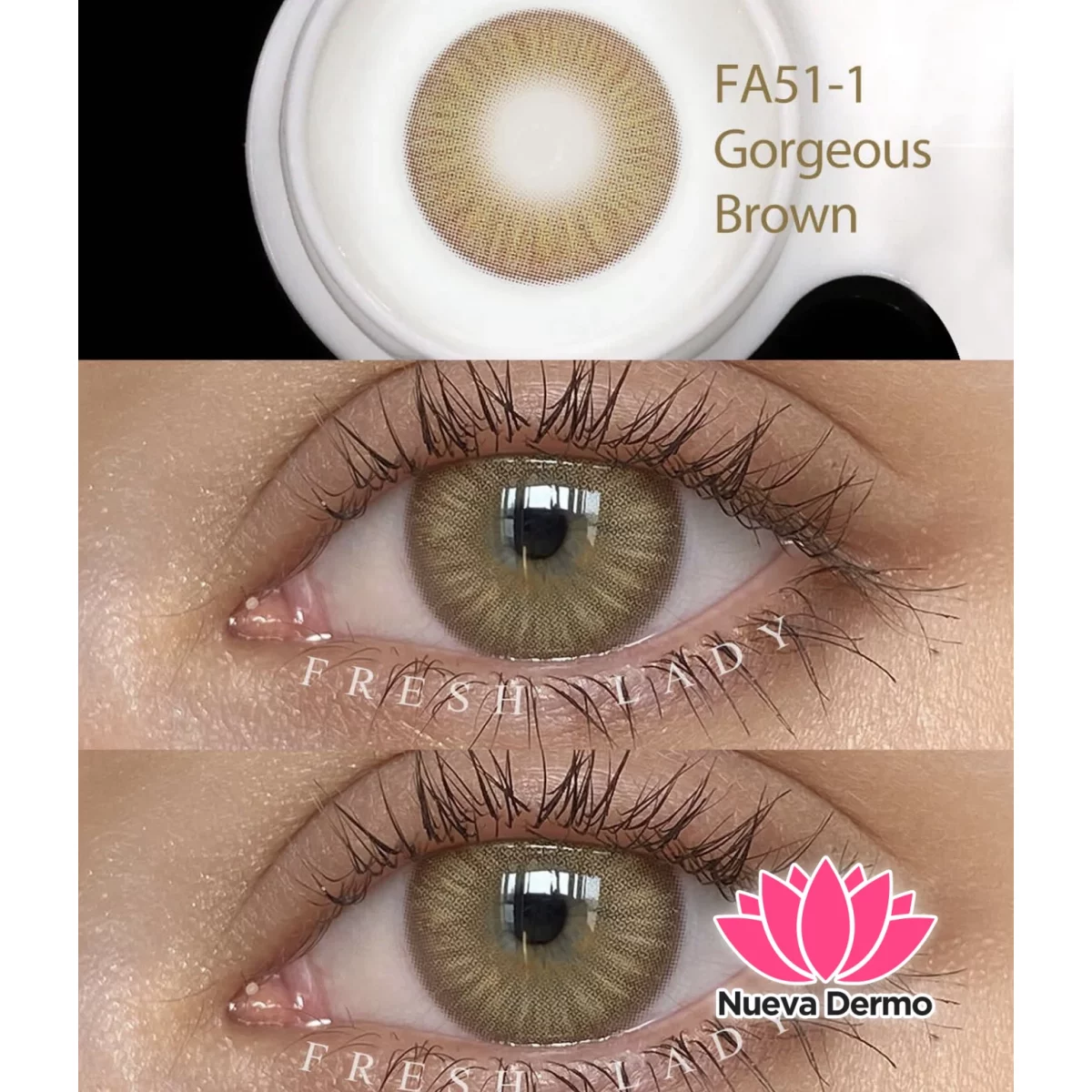 Lentes de contacto Freshlady Gorgeous Brown FA51-1