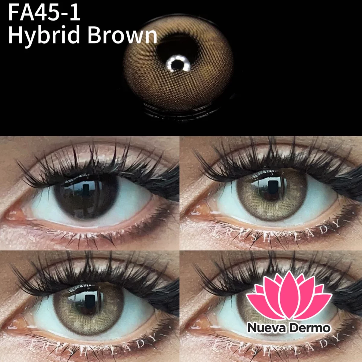 Lentes de contacto Freshlady Hybrid Brown FA45-1