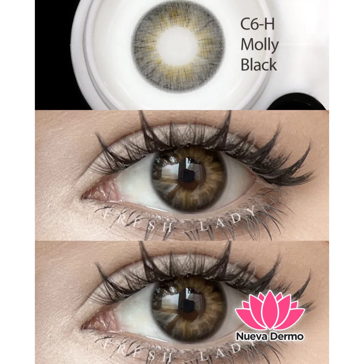 Lentes de contacto Freshlady Molly Black C6-H