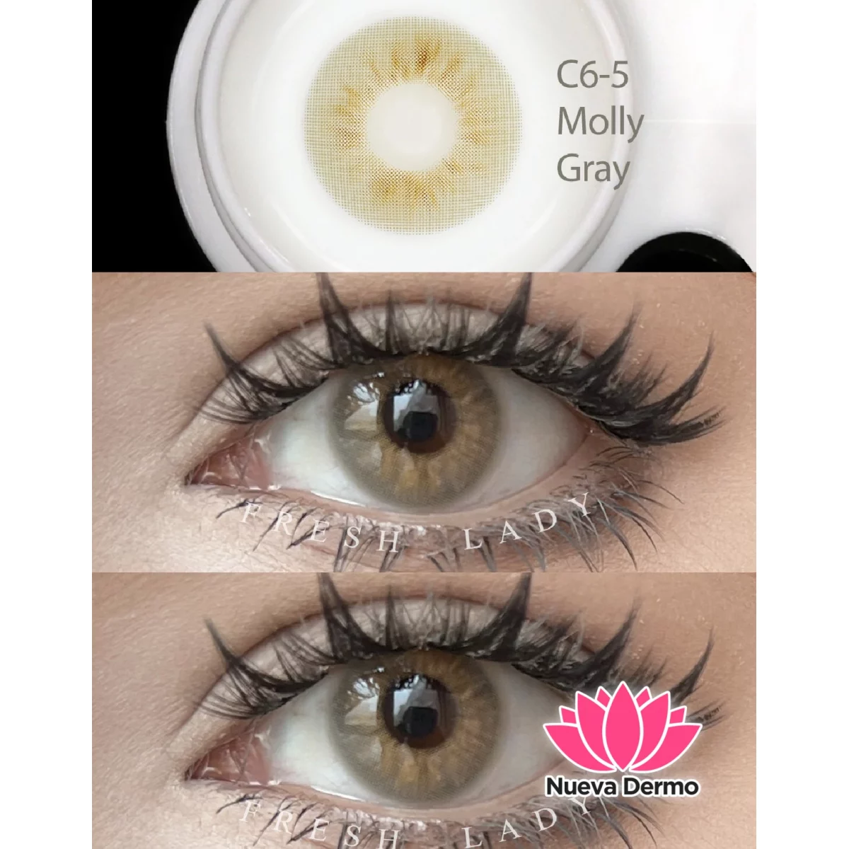 Lentes de contacto Freshlady Molly Gray C6-5
