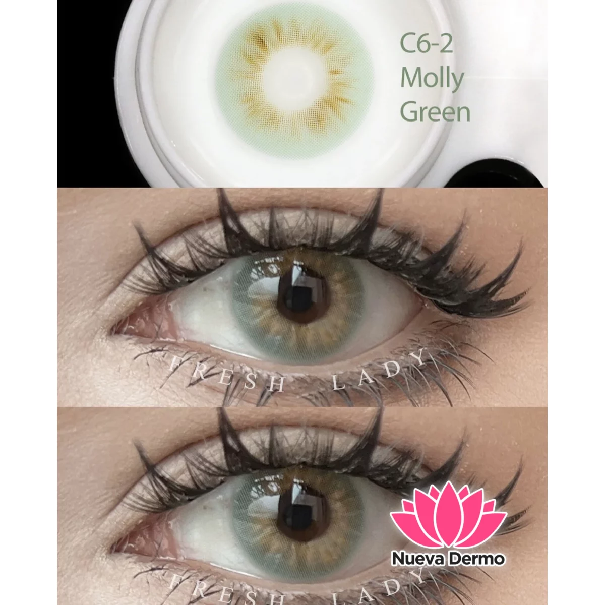 Lentes de contacto Freshlady Molly Green C6-2