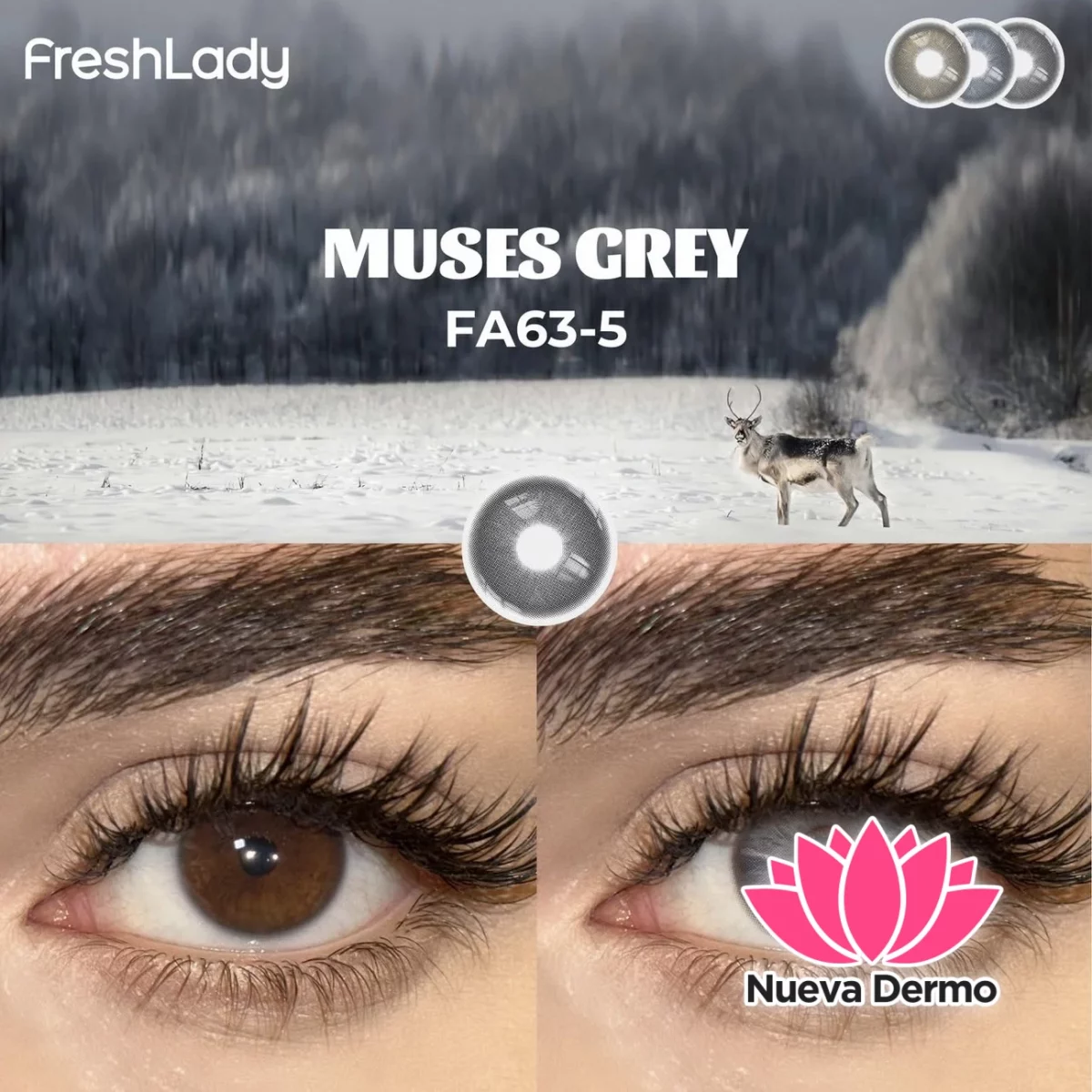 Lentes de contacto Freshlady Muses Grey FA63-5