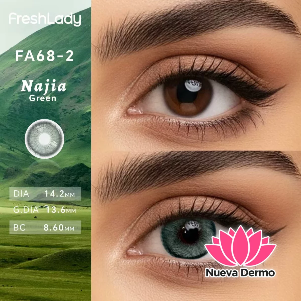 Lentes de contacto Freshlady Najia Green FA68-2
