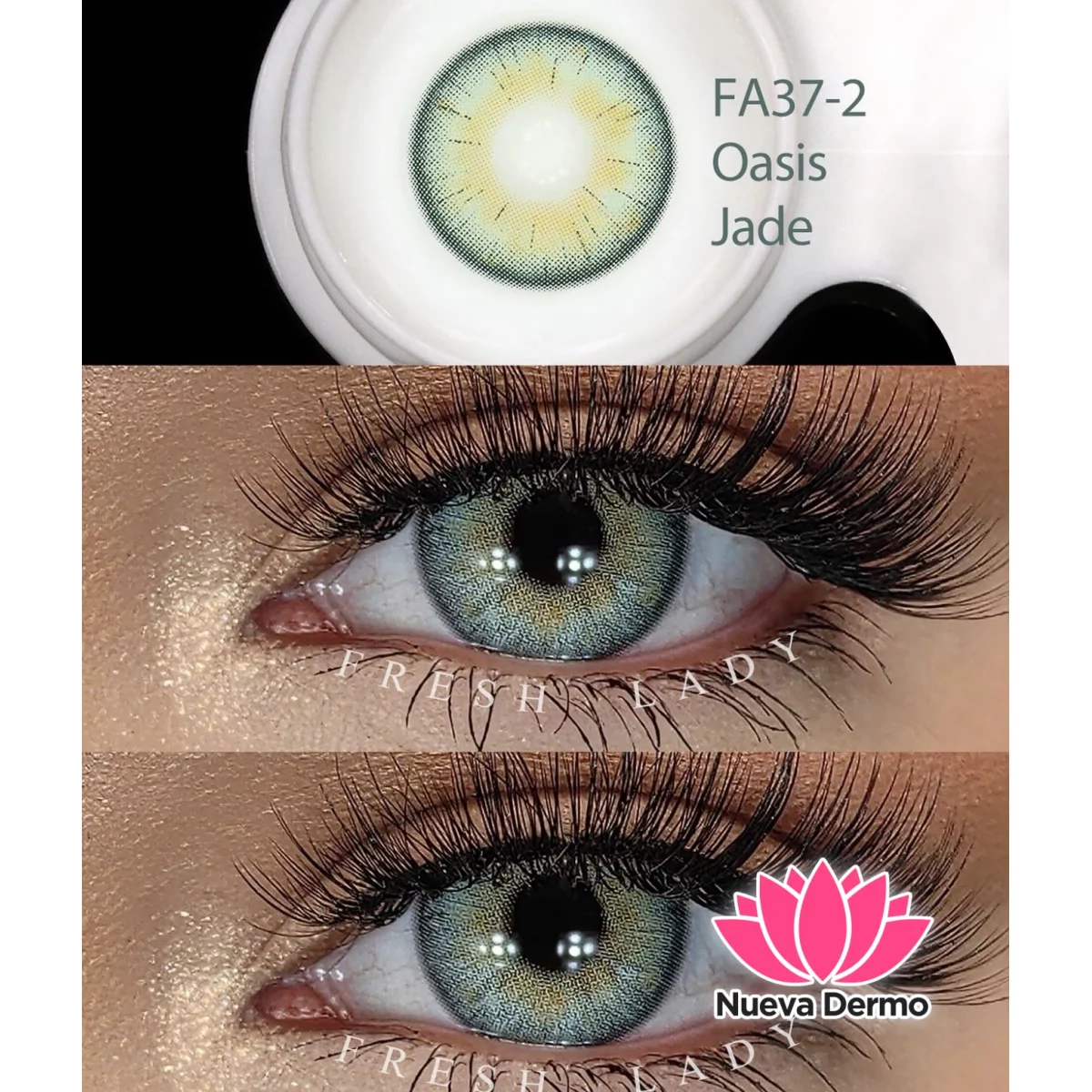 Lentes de contacto Freshlady Oasis Jade FA37-2