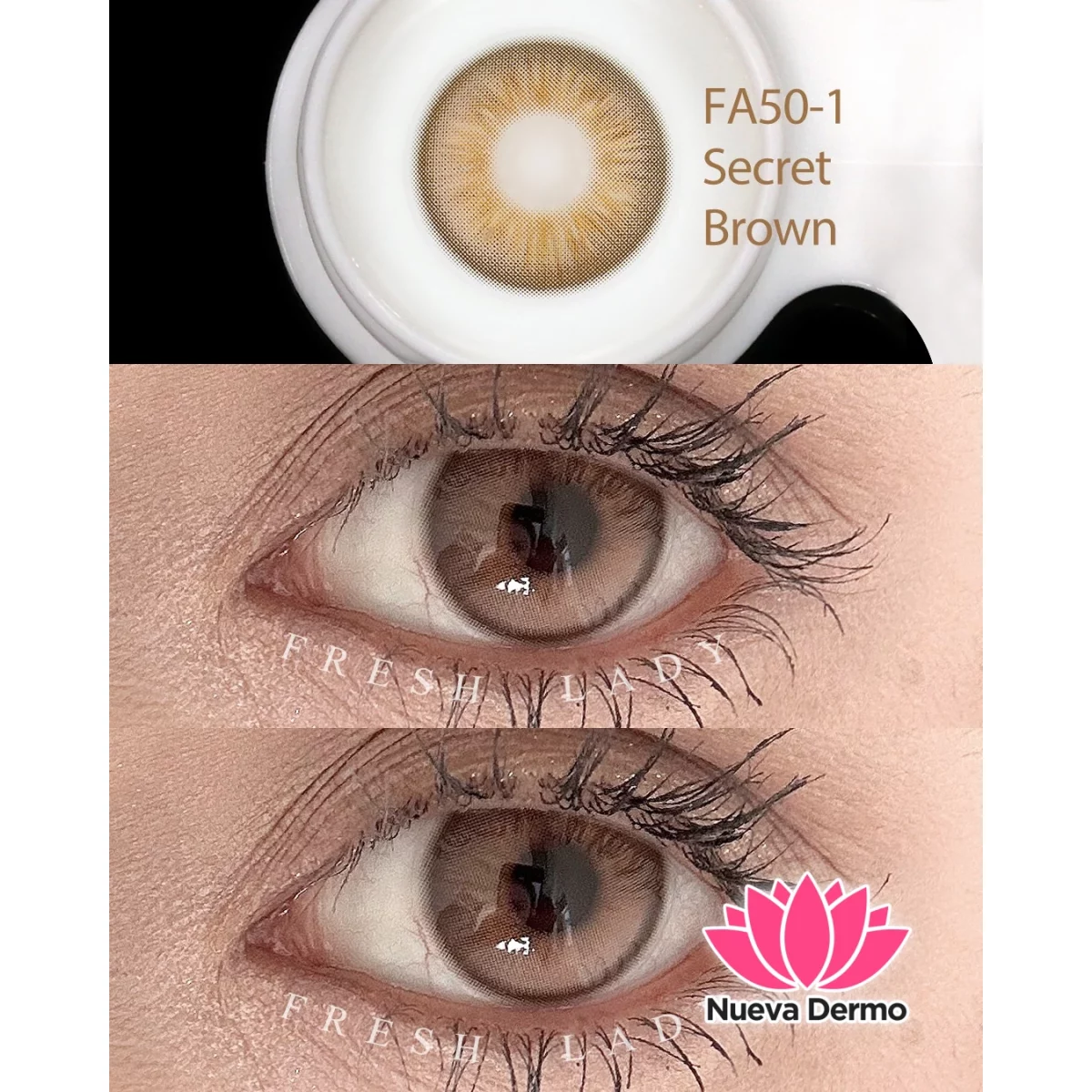 Lentes de contacto Freshlady Secret Brown FA50-1