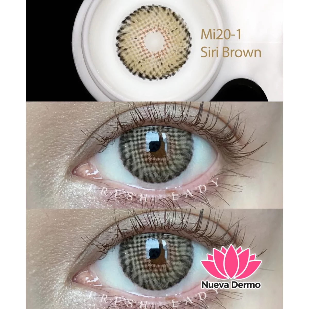 Lentes de contacto Freshlady Siri Brown Mi20-1
