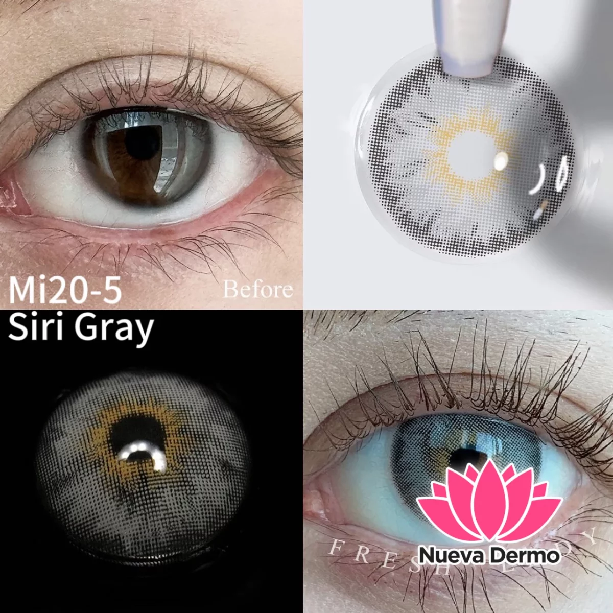 Lentes de contacto Freshlady Siri Gray Mi20-5
