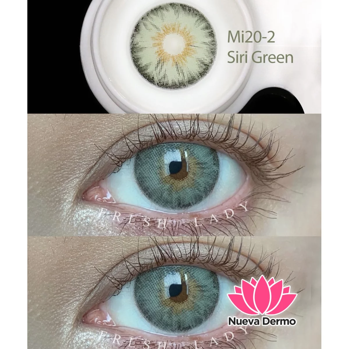 Lentes de contacto Freshlady Siri green Mi20-2