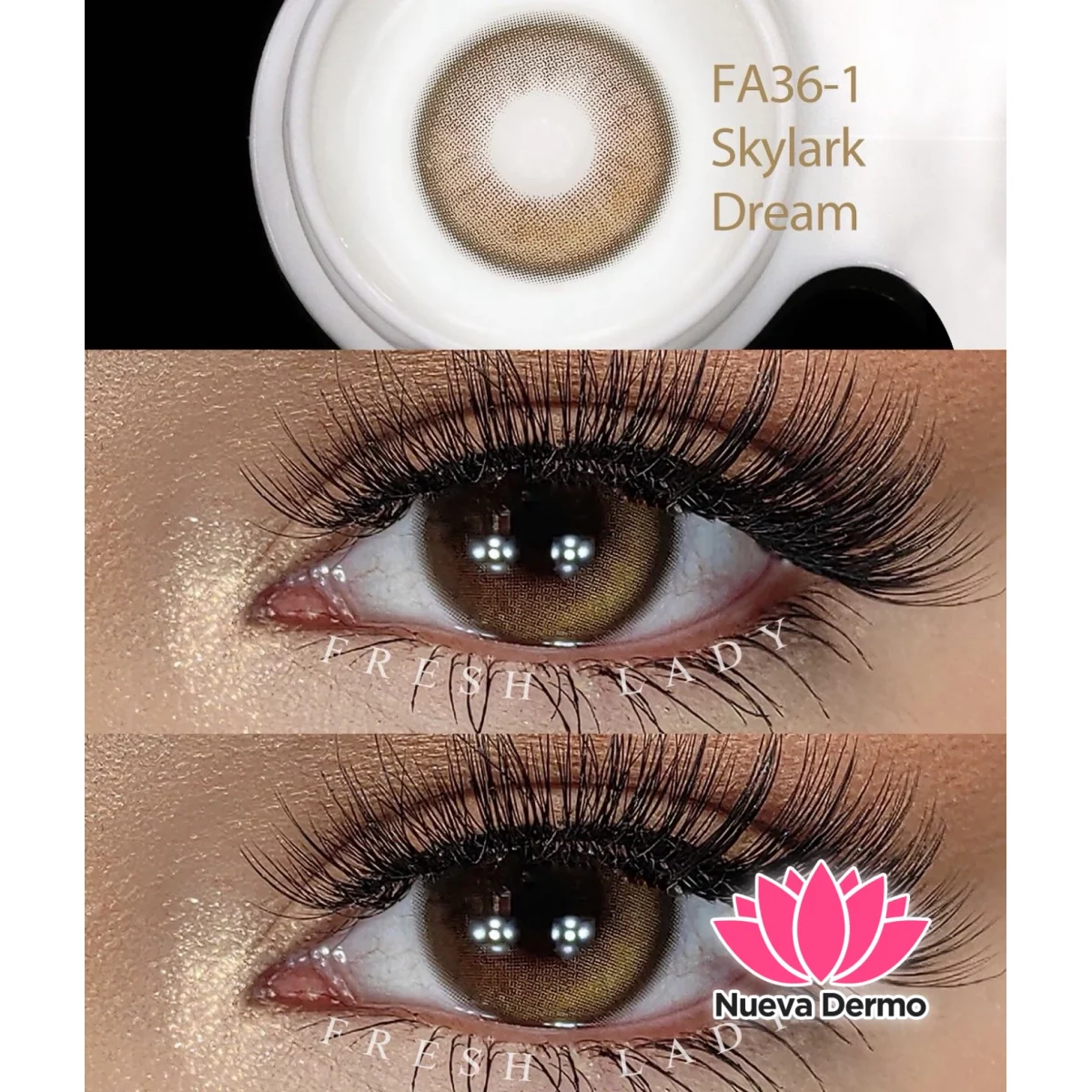 Lentes de contacto Freshlady Skylark Dream FA36-1