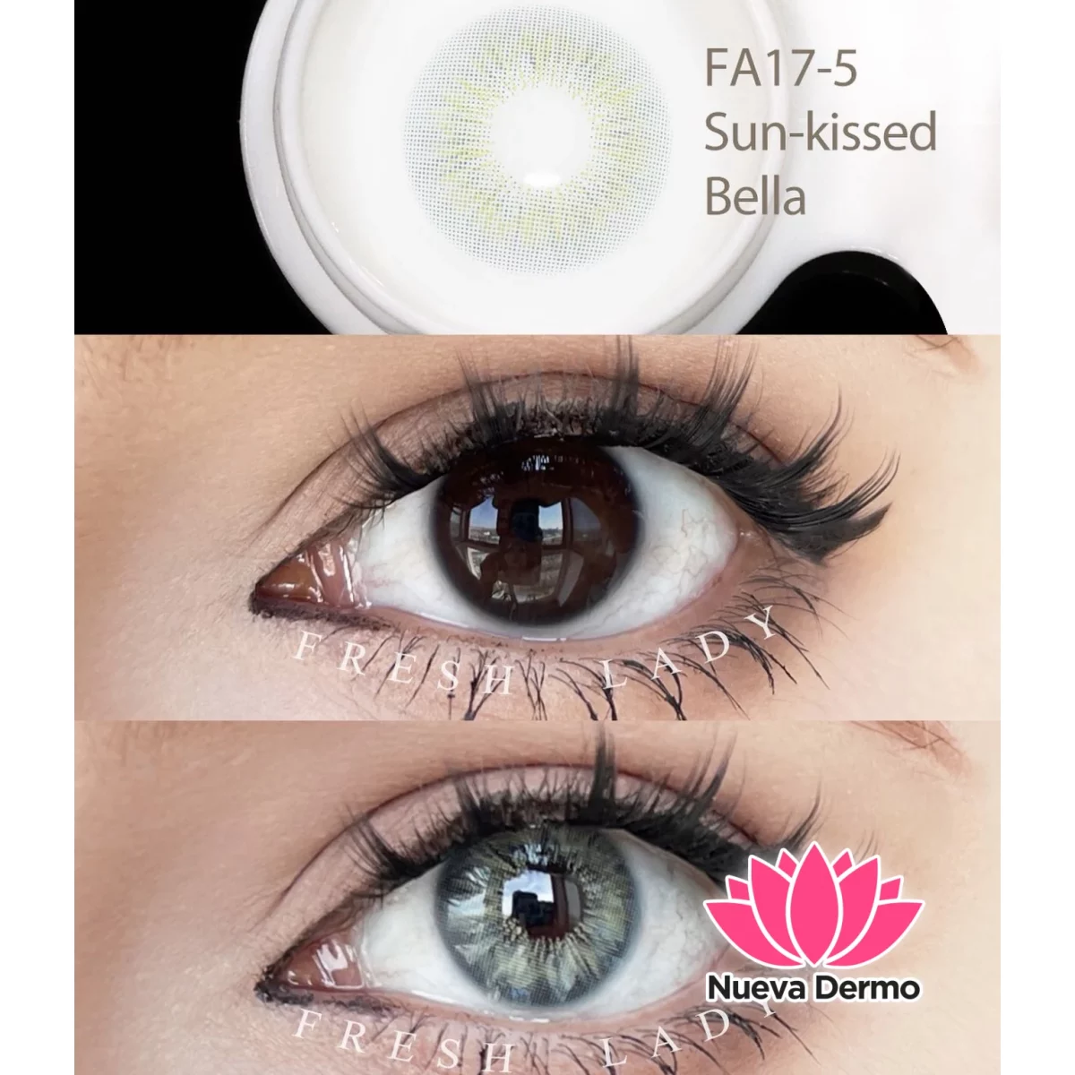 Lentes de contacto Freshlady Sun-kissed Bella FA17-5