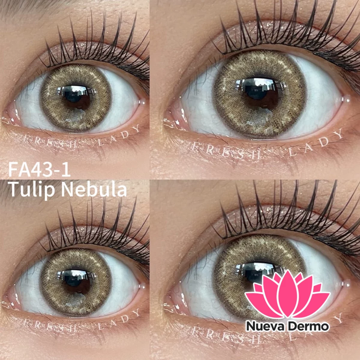 Lentes de contacto Freshlady Tulip Nebula FA43-1