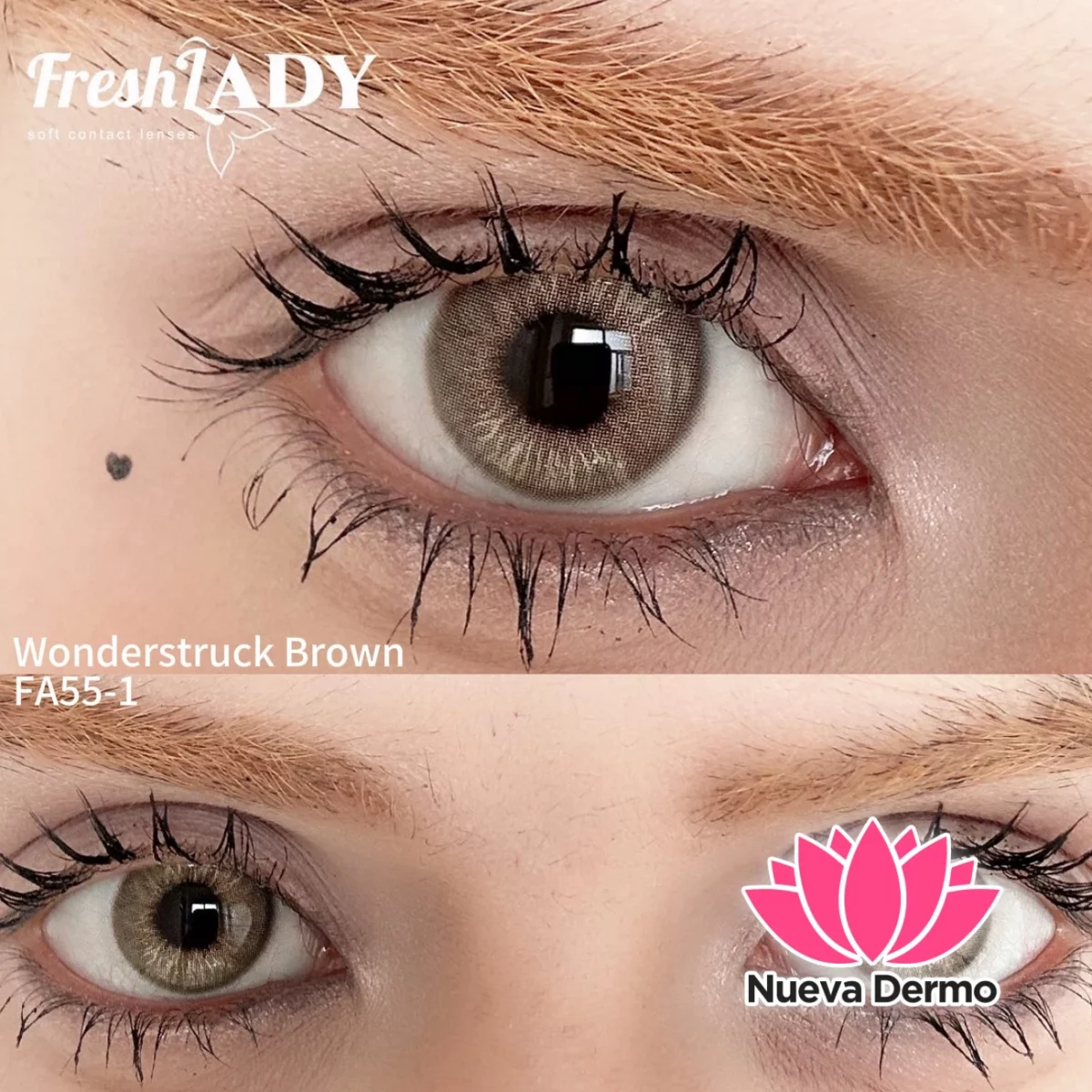 Lentes de contacto Freshlady Wonderstruck Brown FA55-1