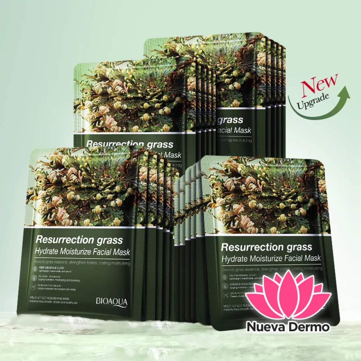 Mascarilla Hidratante y Refrescante con Rosa de Jericó 25 56273