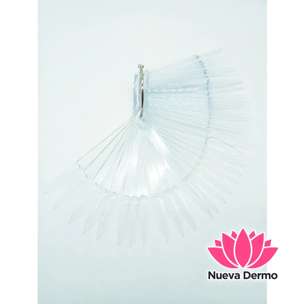 Muestrario de Color Stiletto