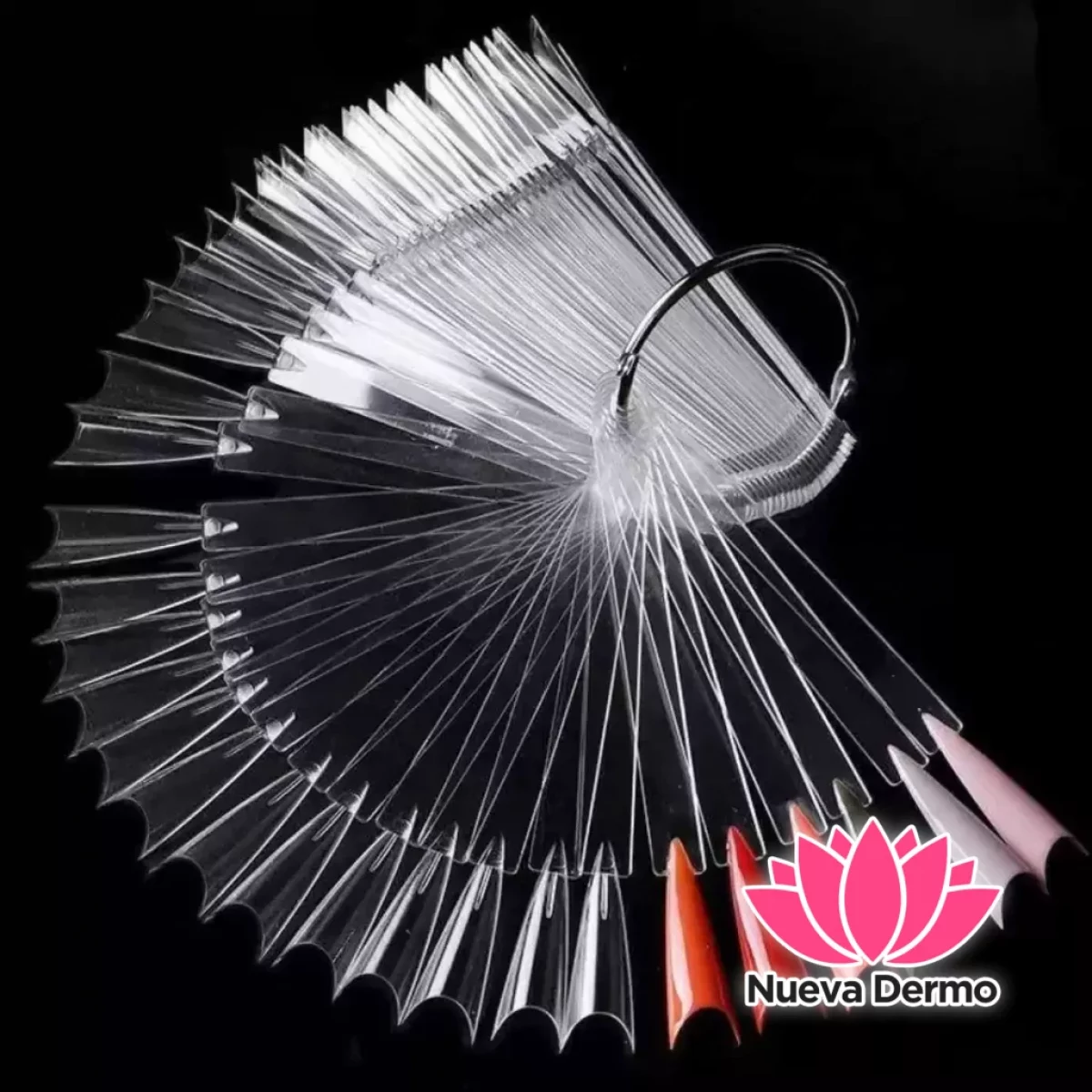 Muestrario stiletto inverso transparente...
